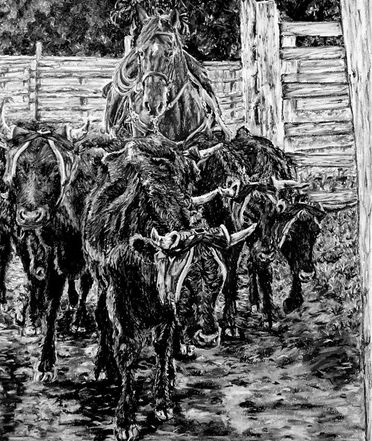 Cattle - drawing by Han Wen Zhang
